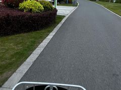 -昆山城市生态森林公园