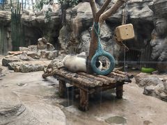-秦皇岛野生动物园