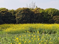 -蜀水别园(青杠树店)