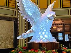 -上海和平饭店龙凤厅 Dragon Phoenix