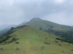 -大姆山草场