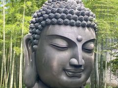 -杭州植物园