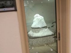 -汤里来温泉