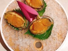 秘制冻鲍鱼-荟廷·晶萃(陆家嘴尚悦湾店)