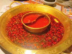 美蛙火锅-哥老官重庆美蛙鱼头(宝山龙湖店)
