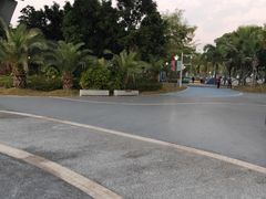 -宝安西湾红树林湿地公园