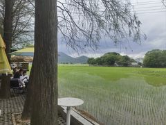 -金福海酒家