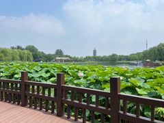 -西海子公园