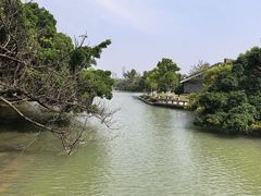 -江心屿景区