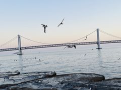 -星海广场