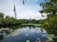 -无锡蠡湖国家湿地公园-蠡园