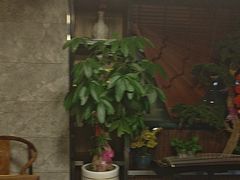 -臻享养生·SPA·影院式足道(汇臻店)