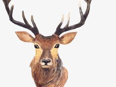 -佰园全日西餐厅-厦门佰翔软件园酒店