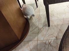 -东安鸡馆(蔡锷南路店)