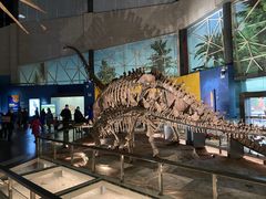 -湖南省地质博物馆