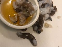 活章鱼-普乐酱蟹(coex店)