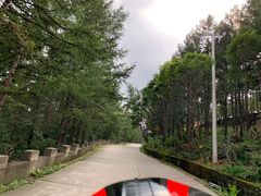 -白草畔自然风景区