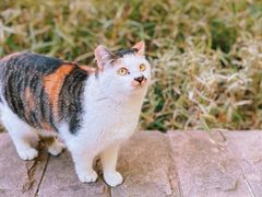 -苏州河梦清园环保主题公园