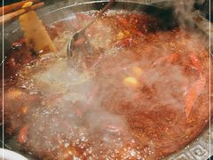 -一斗火锅·招财羊毛肚(泰吉滨江店)