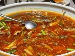 黄辣丁-柴门头啖汤·经典川菜·慢火汤品(锦城万达店)