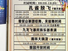 -西双版纳原始森林公园