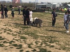 -栖露营camping·天幕烧烤·团建拓展·采摘营地
