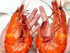 -大东海海鲜酒楼(渔人码头总店)