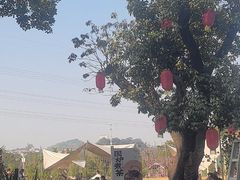-长洲岛都市农业公园
