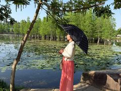 -白鹭湾湿地公园