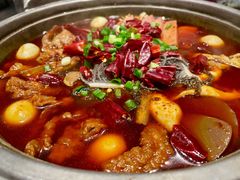-眉州东坡(民族园店)