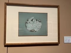 -江苏省美术馆(长江路新馆)