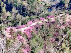 -天台山赤城山景区