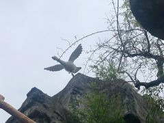 -梅州雁山湖国际花园度假区