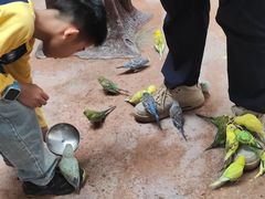 -正佳雨林生态植物园