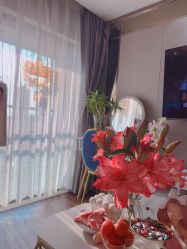 -哈颜科技轻美·