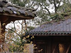 -南山植物园