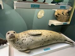 -国家自然博物馆