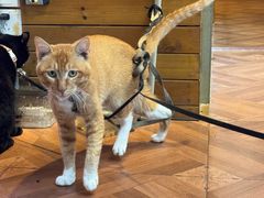 -曹祥泰(解放路店)