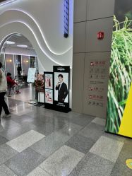 -YESIDO椰岛造型