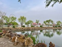 -无锡蠡湖国家湿地公园-蠡园