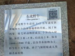 -中国第四纪冰川遗迹陈列馆
