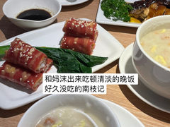 -南枝记