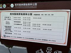 -西双版纳原始森林公园