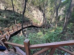 -大岭沟猕猴桃谷风景区