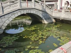 -卓刀泉寺