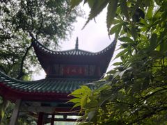 -岳麓山风景名胜区