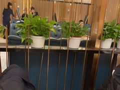 -燕郊烧鸽子(酷车小镇店)