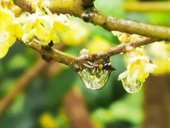 -合肥融创永乐半山酒店·永乐半山西餐厅