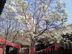 -天津盘山风景名胜区
