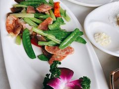 -云中小雅